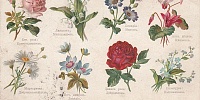 Цветочные чеки Зинаиды Григорьевны Морозовой-Рейнбот: исторические контексты документа
